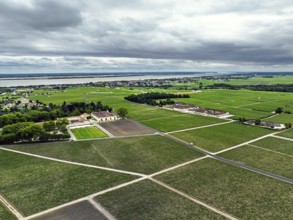 Chateau Pontet-Canet Vineyard and grape fields around Pauillac and Gironde Estuary from a drone,
