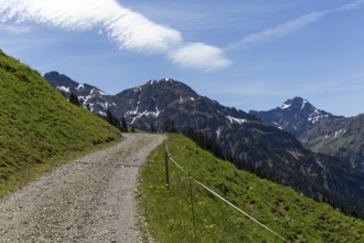 Gravel path along green slopes with a view of the alpine mountains