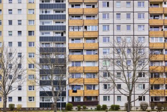 Residential building, high-rise buildings, facade, window, balcony, bare winter trees, diffuse