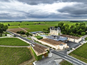 Chateau Pichon Longueville Baron Vineyard and grape fields around Pauillac from a drone, Bordeaux,