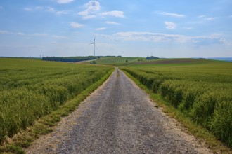 A gravel path leads through green fields with a wind turbine on the horizon under a blue sky,