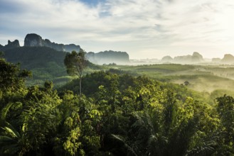Panorama, Din Daeng Doi, sunrise, Krabi, Thailand, Asia