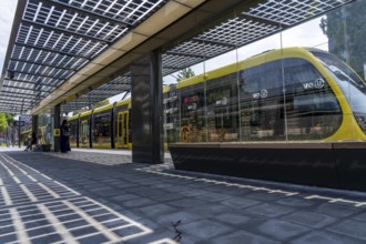 New bus and tram stops at Science Park Utrecht, Utrecht University, the stops have been redesigned,