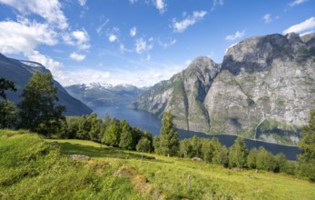 View of the idyllic fjord landscape of the Geirangerfjord at Blomberg Gård, near Geiranger, Møre og