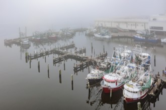 Commercial shrimp boats at the dock in the commercial area of the Biloxi Small Craft Harbor in