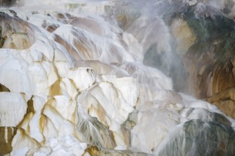 Mammoth Hot Springs... Yellowstone National Park, world-famous travertine terraces, limestone