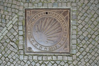 Manhole cover, St James' Way Münster 2015, pilgrims, scallop shell, cobblestones, Münster,