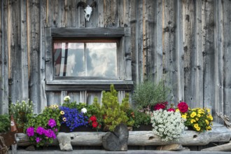 Flower decorations and windows at the Osterberg Alpe, between Tiefenbach and Riezlern, Oberallgäu,