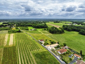 Vineyards and grape fields around Bordeaux from a drone, Saint-Mariens, Gironde,
