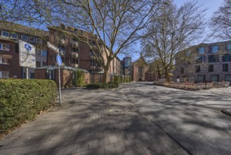 Street, general architecture, pavement, paving slabs, bare wintry trees, fenced-off construction