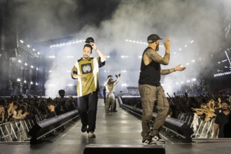 Mike Shinoda (singer and bassist) and Dave Phönix Farrell (bassist) from Linkin Park live on From