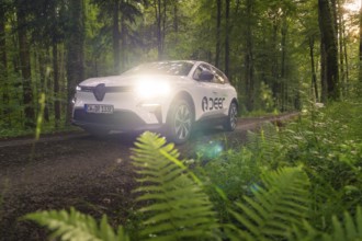 Renault on a forest path surrounded by dense vegetation and ferns, Deer E- CarSharing, Renault