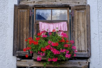 Window with geraniums, in Alleghe, Belluno, Dolomites, Veneto, Italy, Europe
