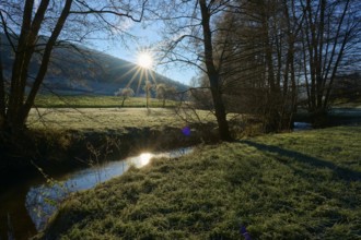 Sunlight breaks through the trees and is reflected in the stream of a tranquil landscape,