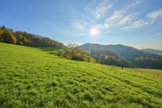Sunny hills with autumnal vegetation under a bright sky, Vöckelsbach, Mörlenbach, Bergstrasse