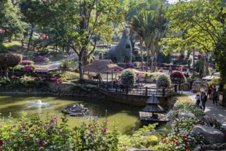 Llama tree at Mae Fah Luang Gardens within the Doi Tung tourist attraction in Chiang Rai, Thailand,