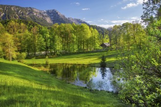 Small pond in the park of Linderhof Castle in spring, municipality of Ettal, Ammergau Alps,