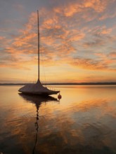 Evening atmosphere, sailing boat on Lake Starnberg, Bavaria, Germany, Europe