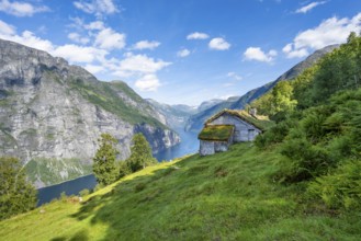 Blomberg Gård, historic mountain farm with grass roof on a steep mountainside above the