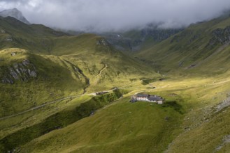 Alpine meadows with Martalm, Lazzacher Tal, Seven Lakes Hike, Stubai Alps, near Ridnaun, South