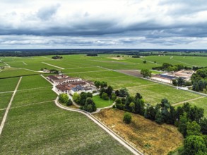 Chateau Pontet-Canet Vineyard and grape fields around Pauillac and Gironde Estuary from a drone,