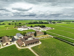 Vineyard of Chateau Branaire-Ducru from a drone, Saint-Julien-Beychevelle, France, Europe