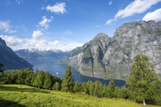 View of the idyllic fjord landscape of the Geirangerfjord at Blomberg Gård, near Geiranger, Møre og