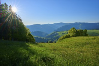 A picturesque view of mountains and a meadow under bright sunshine, spring, Schauinsland, Freiburg