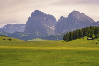 Wide valley with meadows, huts and surrounding mountains with cloudy sky, Alpe di Siusi, South