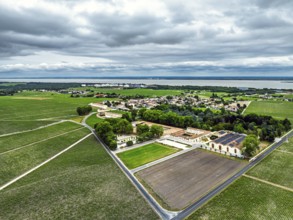 Chateau d'Armailhac Vineyard and grape fields around Pauillac and Gironde Estuary from a drone,