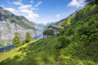 Blomberg Gård, historic mountain farm with grass roof on a steep mountainside above the