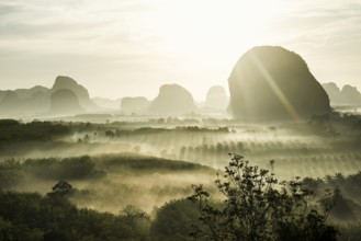 Panorama, Din Daeng Doi, sunrise, Krabi, Thailand, Asia