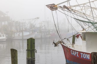 Commercial shrimp boats at the dock in the commercial area of the Biloxi Small Craft Harbor in