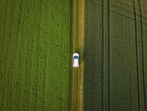 Car on a narrow path between two neighbouring green fields from the air, Deer E- CarSharing,