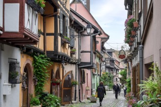 A narrow alleyway lined with traditional houses with plants and red flowers, Eguisheim, Plus beaux