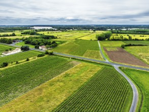 Grape fields around Castle of La Riviere, Vineyard Chateau de La Riviere from a drone, Bordeaux,