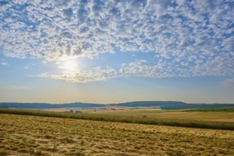 Wide fields under a slightly cloudy sky with the sun on the horizon, summer, Höhefeld, Wertheim,