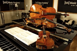 Instruments by Massimo Guidetti (pianist), Pierluigi Ruggiero (cellist and artistic director),