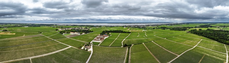 Panorama of Chateau Pontet-Canet Vineyard and grape fields around Pauillac and Gironde Estuary from