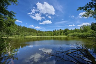 A calm lake with wooded shores and reflective sky surrounded by branches, Mülbener See, Mülben,