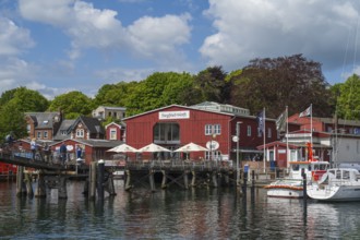 Bascule bridge and building, sea rescue, harbour, Eckernförde, Baltic Sea, Schleswig-Holstein,