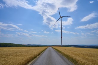 Rural landscape with wind turbine and cornfield and road under blue sky, summer, Retzstadt, Main
