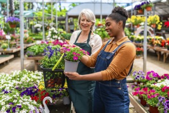 Two smiling female workers choosing colorful flowers in a pot inside a greenhouse or garden center