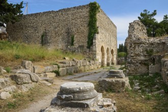 Ruins with ancient stone walls and columns left behind in overgrown surroundings, Basilica,