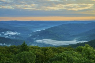 Green hills with forest at sunrise, fog in the valleys and peaceful sky, Katzenbuckel, Waldbrunn,