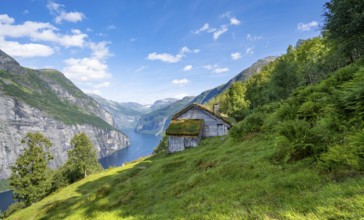 Blomberg Gård, historic mountain farm with grass roof on a steep mountainside above the