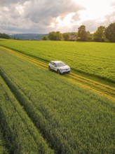 Car on a country lane, surrounded by fields and a row of trees under a cloudy sky, Deer E-