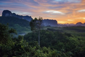 Panorama, Din Daeng Doi, sunrise, Krabi, Thailand, Asia