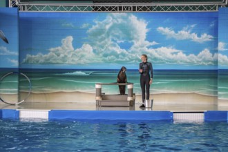 Trainer working with sea lion during show at Ocean Adventures Marine Park in Gulfport, Mississippi