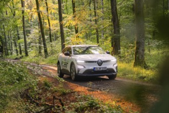 White car on a forest path in the sunlight, surrounded by tall trees, Deer E- CarSharing, Renault